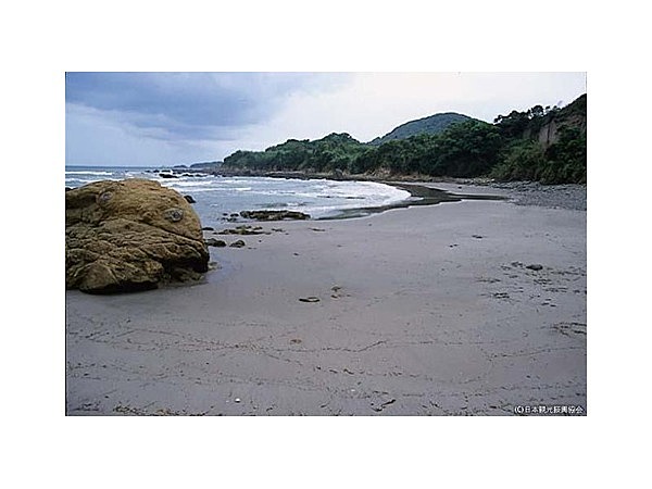赤崎海岸(鹿児島県日置市)
