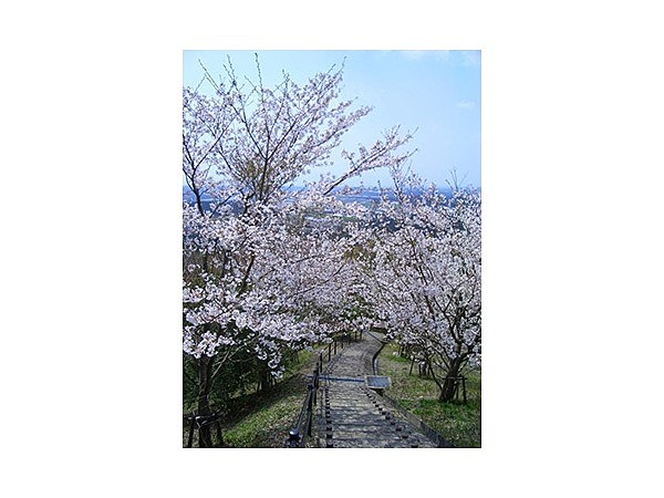 大谷山自然公園