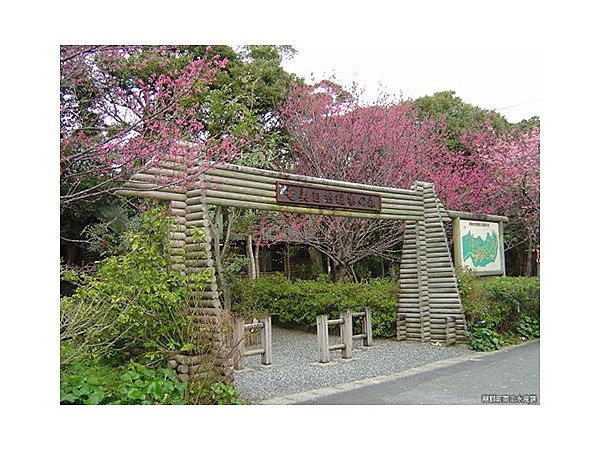 奄美自然観察の森