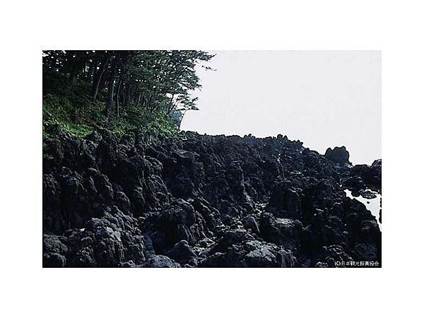 縄状玄武岩（磯）