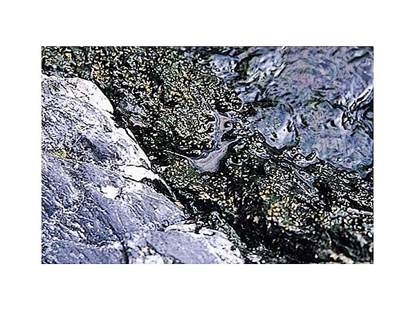 雄川カワゴロモ