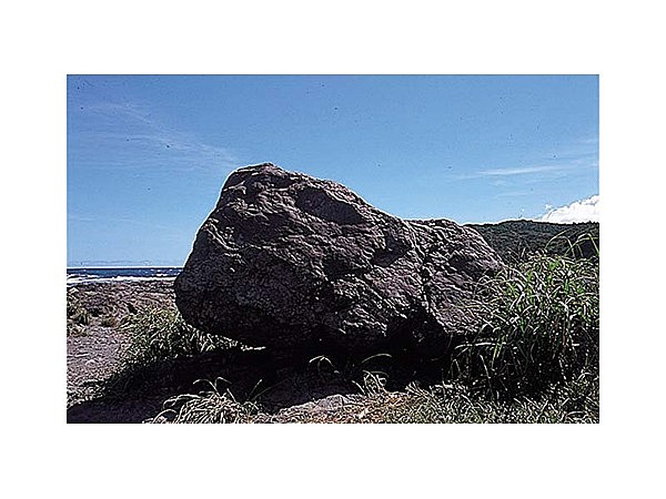 枕状熔岩（田代海岸）