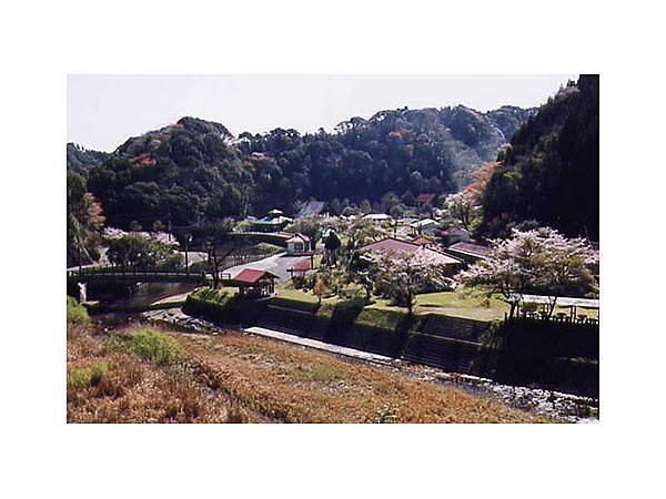 清流の森大川原峡キャンプ場
