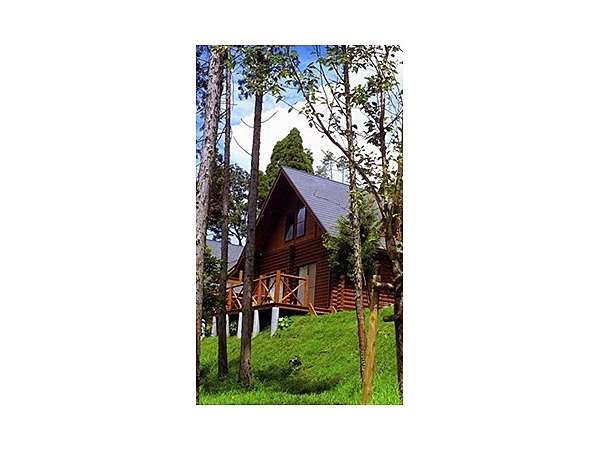 岩屋公園キャンプ場