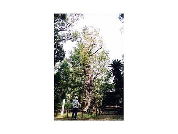 帖佐新正八幡神社