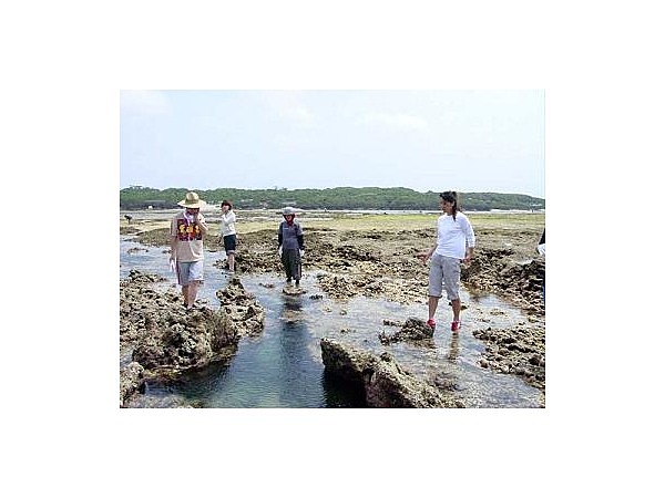 潮干狩(鹿児島県)