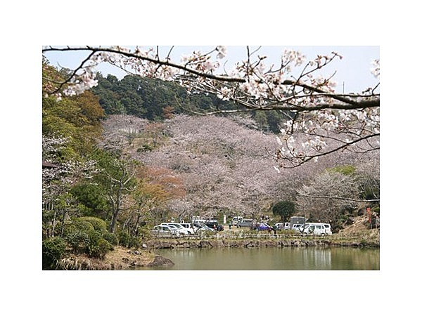 観音ヶ池市民の森