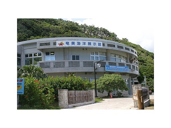 奄美海洋展示館