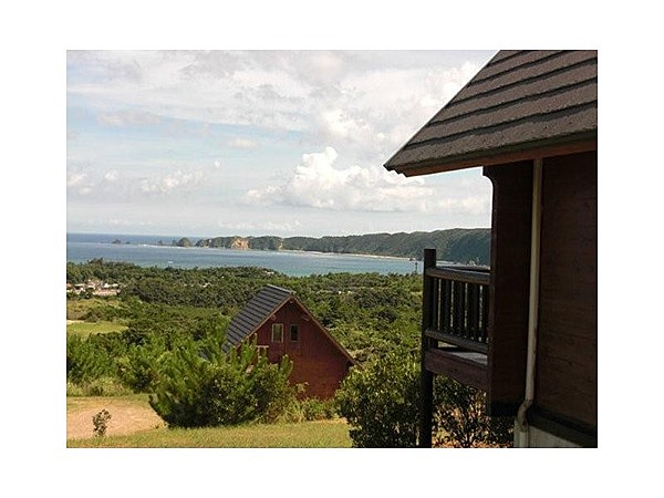 花と竹の公園 沖縄かぐや姫