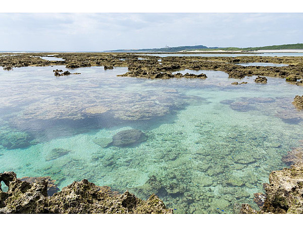 米須・大度浜海岸