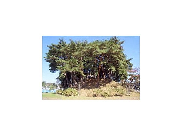 浮島（浮島神社）