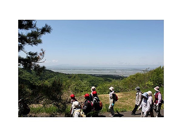 琴丘稜線ハイキングコース