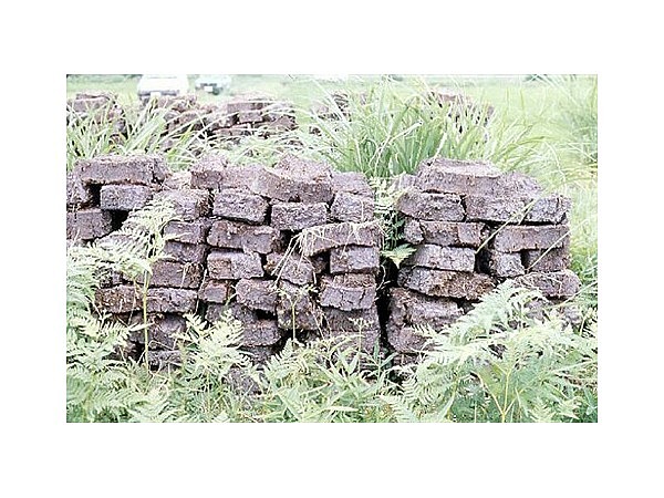 田村根っ子（泥炭）