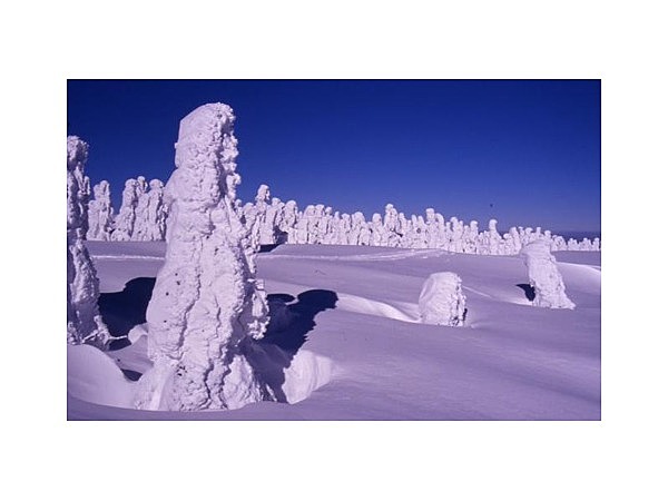 八幡平山頂一周コース