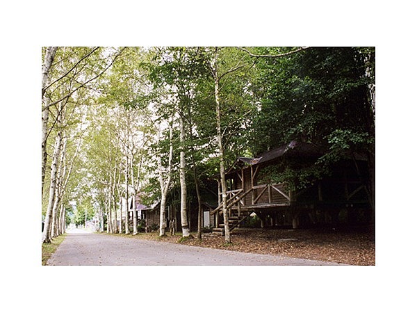 レクの森 キャンプ場