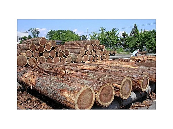 秋田県銘木センター