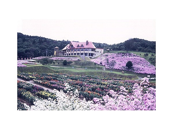 秋田国際ダリア園