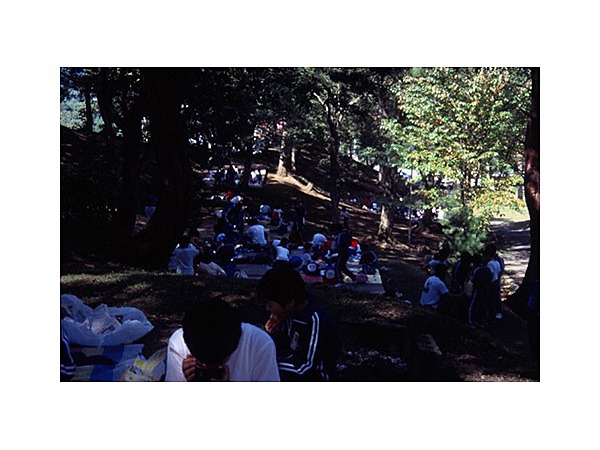 東山公園キャンプ場