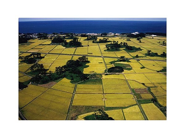 天然記念物「象潟」九十九島