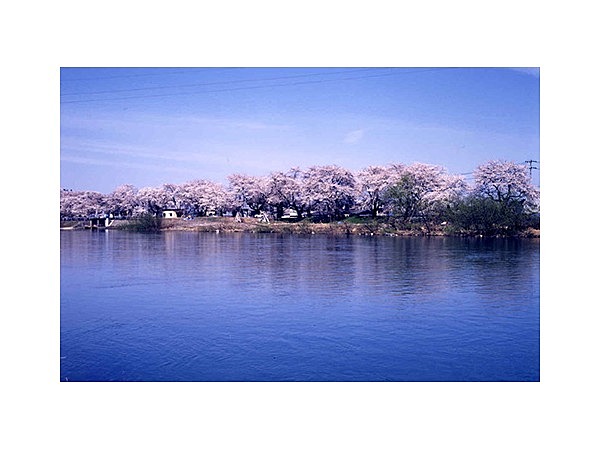 雄物川国際カヌークルージング場