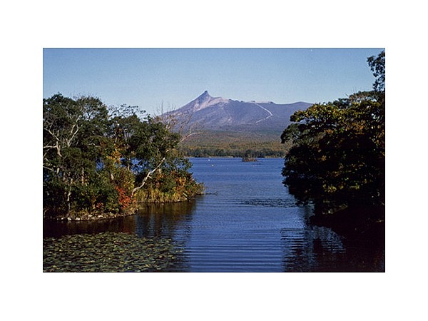 大沼漁業協同組合