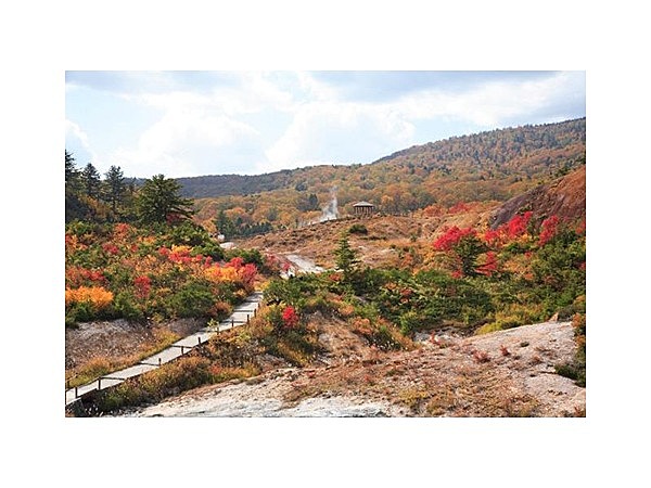 後生掛自然研究路