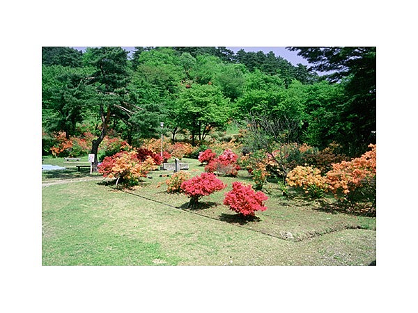 生保内公園