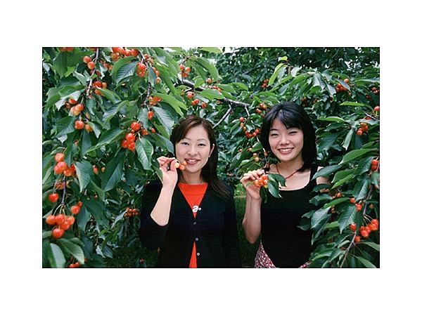 上山市観光果樹園協議会