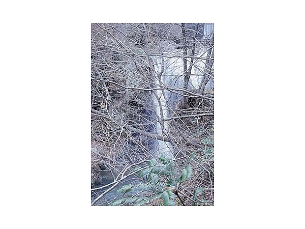 黒滝（山形県 東根市）