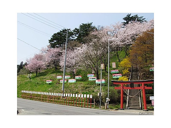 愛宕山公園(山形県)