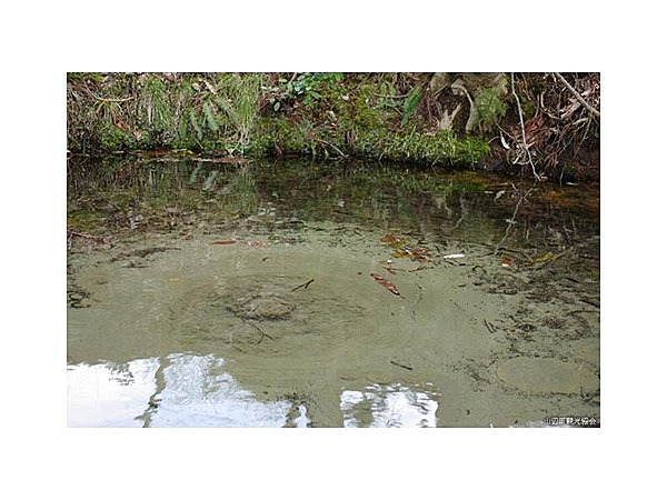 五番御神酒湧水
