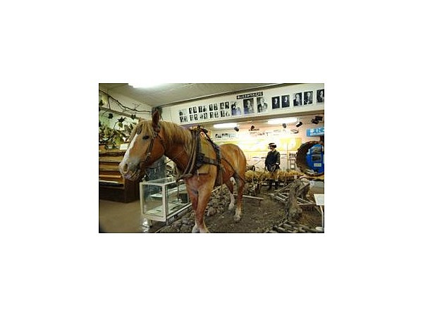 鷹栖町郷土資料館