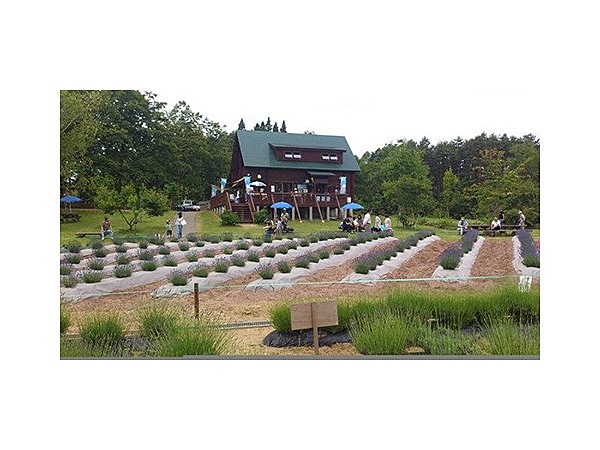 山辺町玉虫沼農村公園