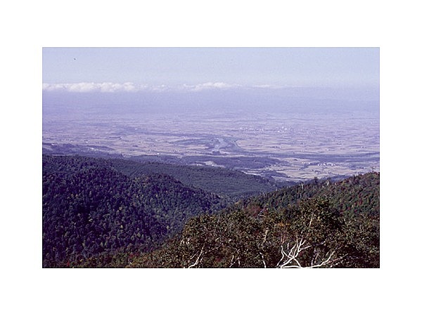 音江連山(沖里河山・無名山・音江山)