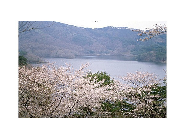 大山公園