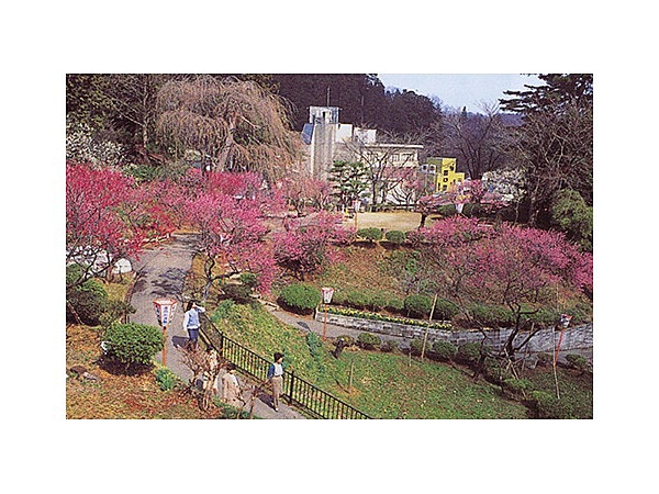 湯田川温泉梅林公園