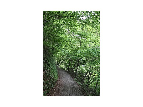 鹿狼山ハイキング