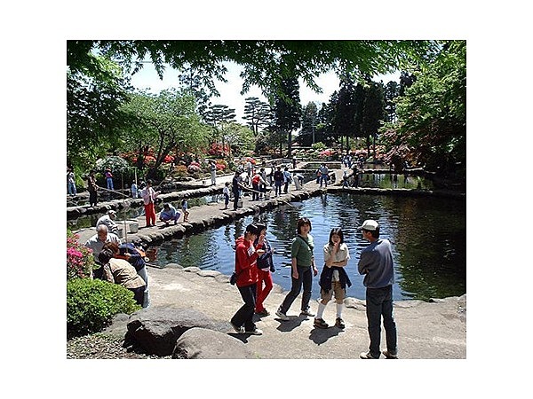 林養魚場　ますつり公園