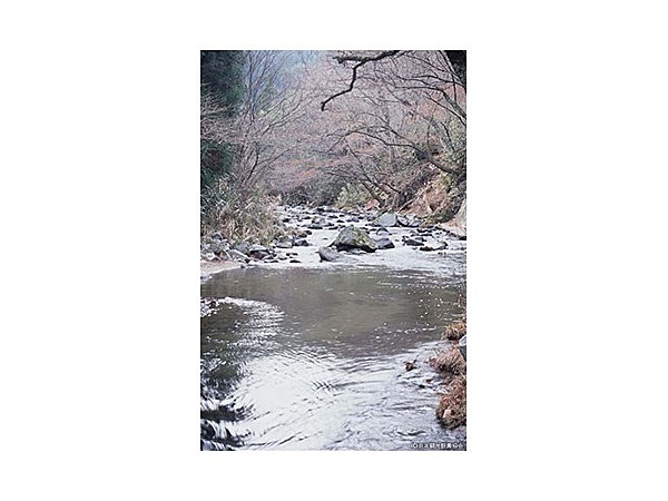 滝川渓谷(福島県双葉郡富岡町)