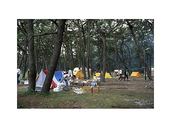 仁井田浦キャンプ場