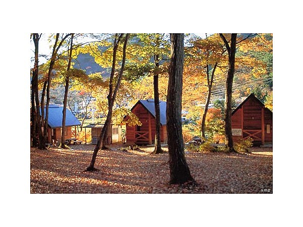 矢祭山友情の森バンガロー