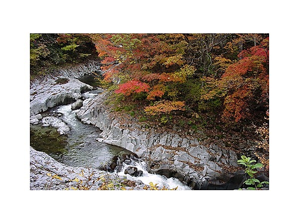 中津川唐松川の紅葉