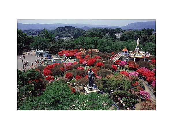 松ヶ岡公園のツツジ