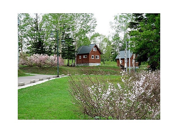 朱鞠内湖畔キャンプ場