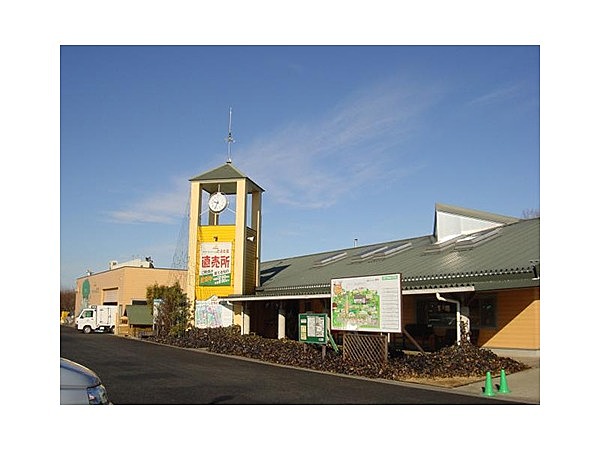 ポケットファームどきどき