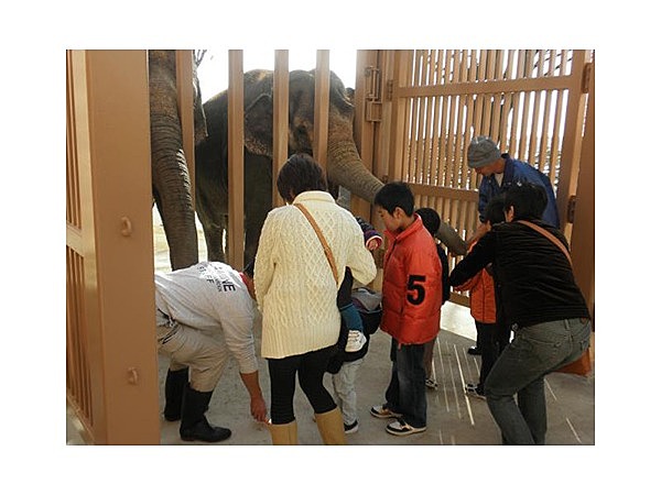 日立市かみね動物園