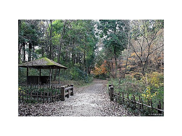 牛久自然観察の森