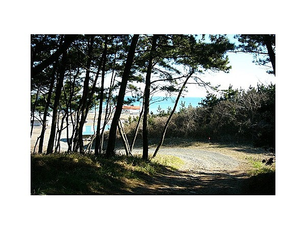 田ノ上キャンプ場