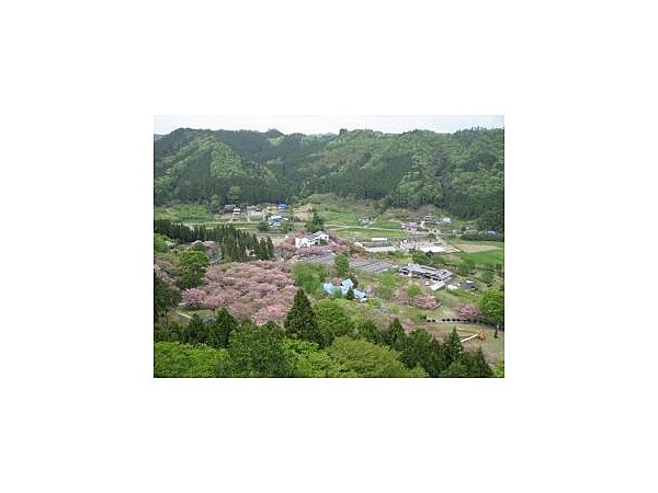 やすらぎの里公園