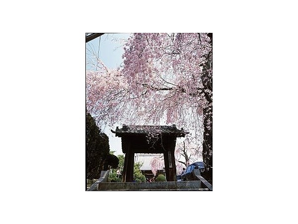 光明寺(茨城県)